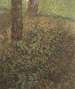 Vincent Van Gogh Undergrowth (nn04) Sweden oil painting artist